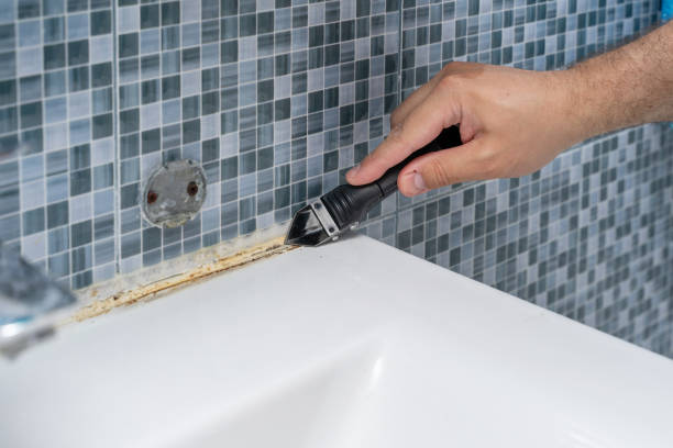 Best Residential Mold Remediation in White Plains, NC